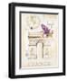 Arc De Triomphe Lilacs-Angela Staehling-Framed Art Print