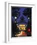 Arc de Triomphe, Paris, France-Peter Adams-Framed Photographic Print