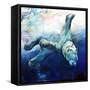 Arc Of The Diver-Mark Adlington-Framed Stretched Canvas