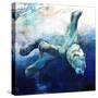 Arc Of The Diver-Mark Adlington-Stretched Canvas