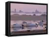 Arcachon, Gironde, Aquitaine, France, Europe-Charles Bowman-Framed Stretched Canvas