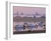 Arcachon, Gironde, Aquitaine, France, Europe-Charles Bowman-Framed Photographic Print