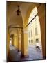 Arcade and Cyclist, Modena, Emilia Romagna, Italy, Europe-Frank Fell-Mounted Photographic Print