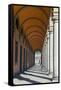 Arcade at Piazza Della Liberta', Firenze, UNESCO, Tuscany, Italy-Nico Tondini-Framed Stretched Canvas