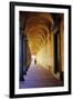 Arcade in the Old City, Bologna, Emilia-Romagna, Italy, Europe-Bruno Morandi-Framed Photographic Print