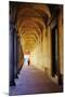 Arcade in the Old City, Bologna, Emilia-Romagna, Italy, Europe-Bruno Morandi-Mounted Photographic Print