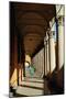 Arcade in the Old City, Bologna, Emilia-Romagna, Italy, Europe-Bruno Morandi-Mounted Photographic Print