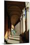 Arcade in the Old City, Bologna, Emilia-Romagna, Italy, Europe-Bruno Morandi-Mounted Photographic Print