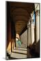 Arcade in the Old City, Bologna, Emilia-Romagna, Italy, Europe-Bruno Morandi-Mounted Photographic Print