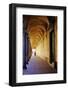 Arcade in the Old City, Bologna, Emilia-Romagna, Italy, Europe-Bruno Morandi-Framed Photographic Print