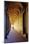 Arcade in the Old City, Bologna, Emilia-Romagna, Italy, Europe-Bruno Morandi-Mounted Photographic Print