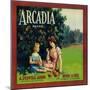 Arcadia Orange Label - Pico Rivera, CA-Lantern Press-Mounted Art Print