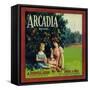 Arcadia Orange Label - Pico Rivera, CA-Lantern Press-Framed Stretched Canvas