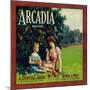Arcadia Orange Label - Pico Rivera, CA-Lantern Press-Mounted Art Print