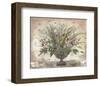 Arcadia-James Hussey-Framed Art Print