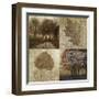 Arcadian Grove II-Keith Mallett-Framed Giclee Print