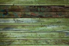 Wood Grungy Background-Arcady31-Photographic Print
