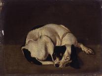 Sleeping Dog-Arcangelo Resani-Mounted Art Print