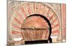 Arch Above Entrance, West Façade, Grand Mosque, Cordoba, Spain, 8th-11th Century-null-Mounted Photographic Print