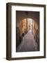 Arch and cobblestone alley in historic Gamla Stan, Stockholm, Sweden, Scandinavia, Europe-Jon Reaves-Framed Photographic Print