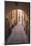 Arch and cobblestone alley in historic Gamla Stan, Stockholm, Sweden, Scandinavia, Europe-Jon Reaves-Mounted Photographic Print