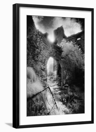 Arch, Ballynalackan Castle, County Clare, Ireland-Simon Marsden-Framed Giclee Print