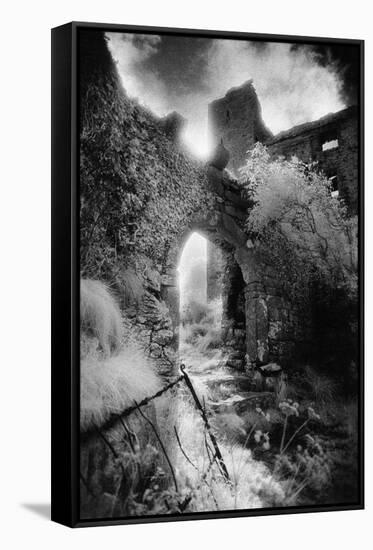 Arch, Ballynalackan Castle, County Clare, Ireland-Simon Marsden-Framed Stretched Canvas