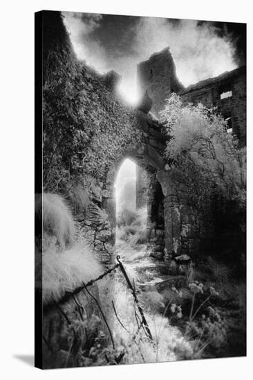 Arch, Ballynalackan Castle, County Clare, Ireland-Simon Marsden-Stretched Canvas