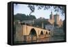 Arch Bridge over a River with a Palace in the Background-null-Framed Stretched Canvas