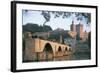 Arch Bridge over a River with a Palace in the Background-null-Framed Photographic Print