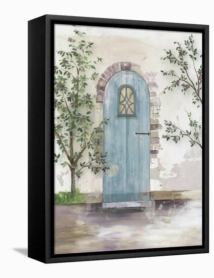 Arch Door with Olive Tree-Aimee Wilson-Framed Stretched Canvas