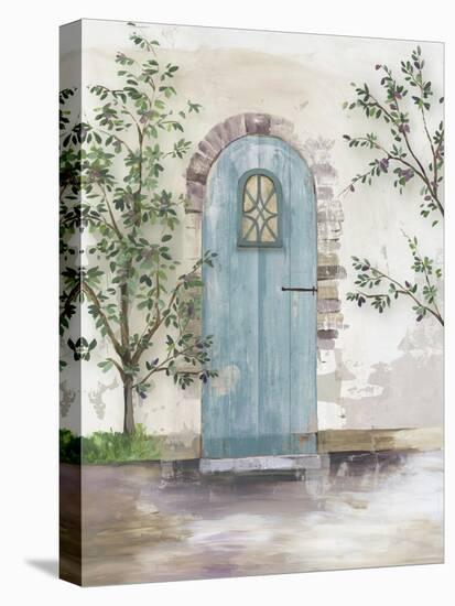 Arch Door with Olive Tree-Aimee Wilson-Stretched Canvas