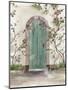 Arch Door with Roses-Aimee Wilson-Mounted Premium Giclee Print