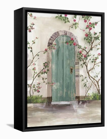Arch Door with Roses-Aimee Wilson-Framed Stretched Canvas