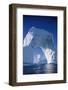 Arch Iceberg Near Lemaire Channel in Antarctica-null-Framed Photographic Print