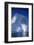 Arch Iceberg Near Lemaire Channel in Antarctica-null-Framed Photographic Print