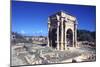 Arch of Septimius Severus, Leptis Magna, Libya-Vivienne Sharp-Mounted Photographic Print