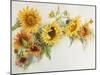 Arch of Sunflowers-Joanne Porter-Mounted Giclee Print