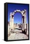 Arch of Trajan, Leptis Magna, Libya-Vivienne Sharp-Framed Stretched Canvas