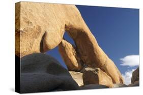 Arch Rock, Arch Rock Trail, Joshua Tree National Park, California, USA-Michel Hersen-Stretched Canvas