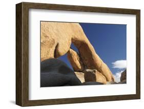 Arch Rock, Arch Rock Trail, Joshua Tree National Park, California, USA-Michel Hersen-Framed Photographic Print