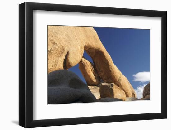 Arch Rock, Arch Rock Trail, Joshua Tree National Park, California, USA-Michel Hersen-Framed Photographic Print