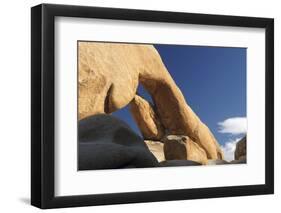 Arch Rock, Arch Rock Trail, Joshua Tree National Park, California, USA-Michel Hersen-Framed Photographic Print