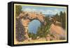 Arch Rock, Mackinac Island, Michigan-null-Framed Stretched Canvas
