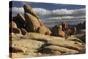 Arch Rock Trail, Joshua Tree National Park, California, USA-Michel Hersen-Stretched Canvas