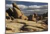 Arch Rock Trail, Joshua Tree National Park, California, USA-Michel Hersen-Mounted Photographic Print