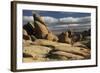 Arch Rock Trail, Joshua Tree National Park, California, USA-Michel Hersen-Framed Photographic Print