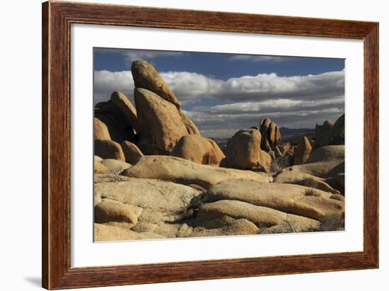 Arch Rock Trail, Joshua Tree National Park, California, USA-Michel Hersen-Framed Photographic Print