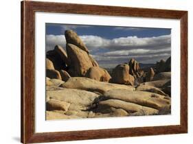 Arch Rock Trail, Joshua Tree National Park, California, USA-Michel Hersen-Framed Photographic Print