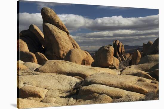 Arch Rock Trail, Joshua Tree National Park, California, USA-Michel Hersen-Stretched Canvas